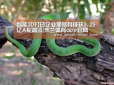 智能3D打印企业黑格科技获3.25亿A轮融资|米兰体育app官网(图3) 米兰体育app官网