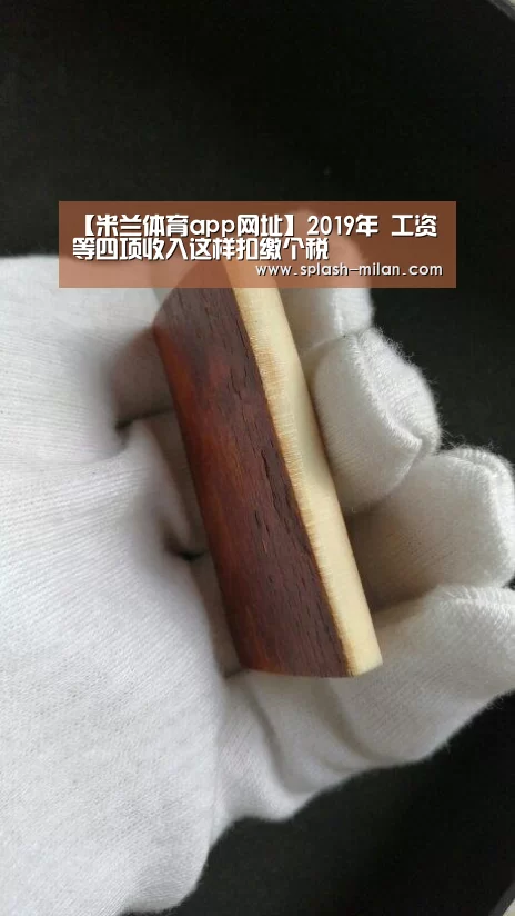 【米兰体育app网址】2019年 工资等