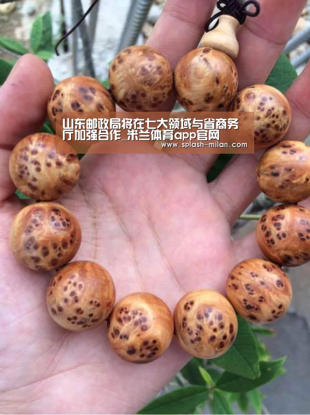 米兰体育app下载